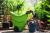 Konewka ogrodowa Agri 10l IKAG100
