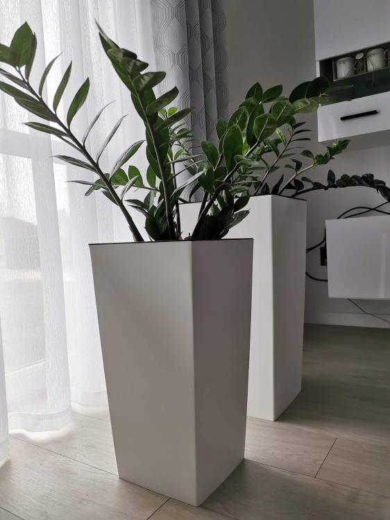 Doniczka wysoka 61 cm, biała, kwadratowa, URBI DURS325 z wkładem