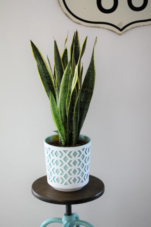 Doniczka okrągła AZTEK 255 biała