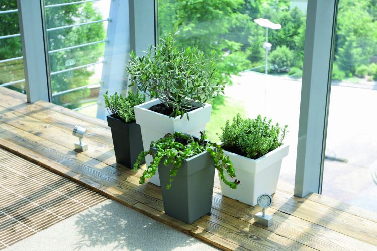 Lofly Square_DLOFQ_aranz 05.jpg