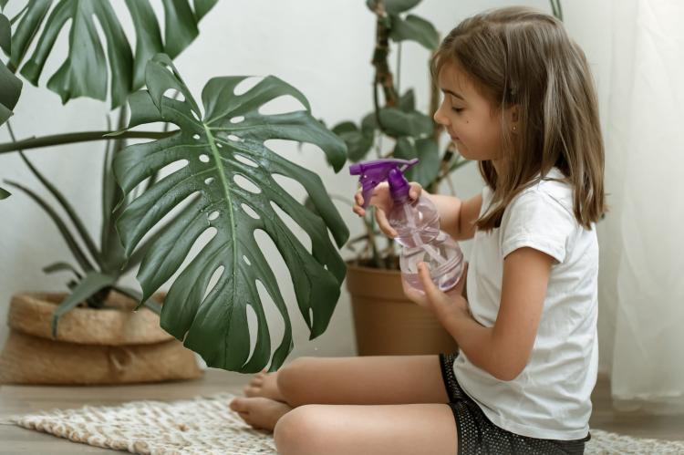 little-girl-spraying-houseplant-leaves-taking-care-of-plant-monstera.jpg