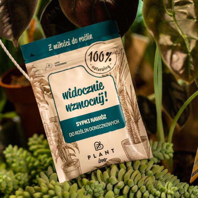 WIDOCZNIE WZMOCNIJ aranż.jpg