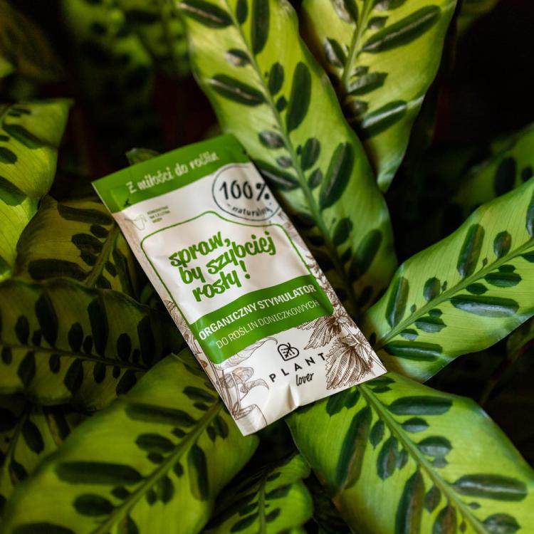 SPRAW BY SZYBCIEJ ROSŁY