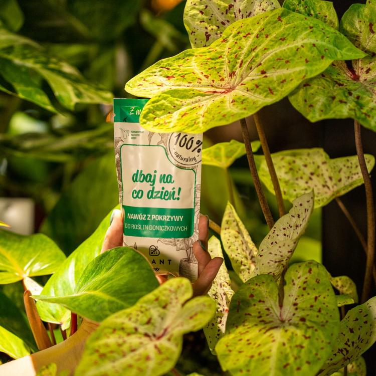 DBAJ NA CODZIEŃ! Zestaw 3 szt. Nawóz z pokrzyw do roślin, PLANT Lover