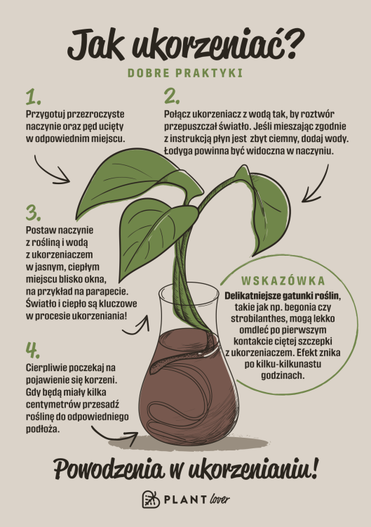 SZYBCIEJ UKORZENIAJ! Zestaw 3 szt. Ukorzeniacz młodych roślin, PLANT Lover