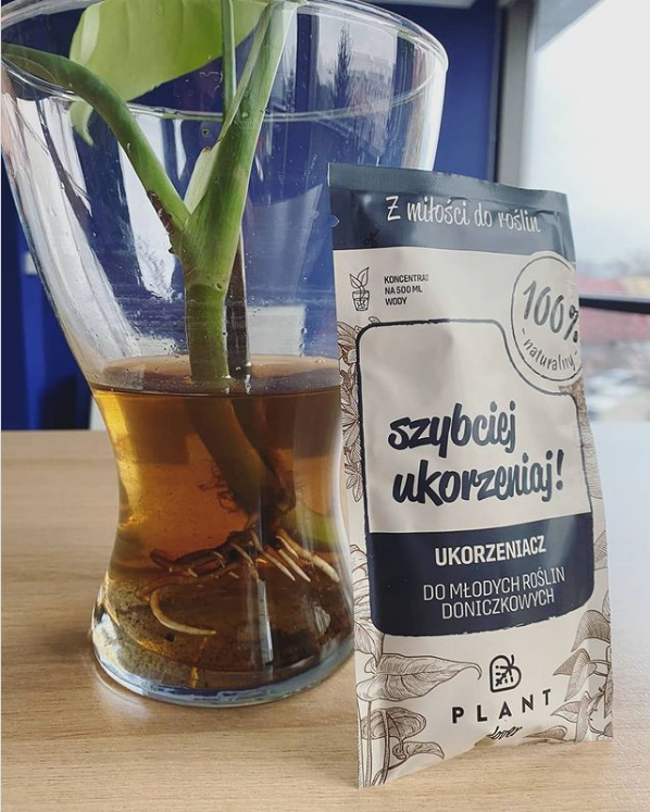 SZYBCIEJ UKORZENIAJ! Zestaw 3 szt. Ukorzeniacz młodych roślin, PLANT Lover