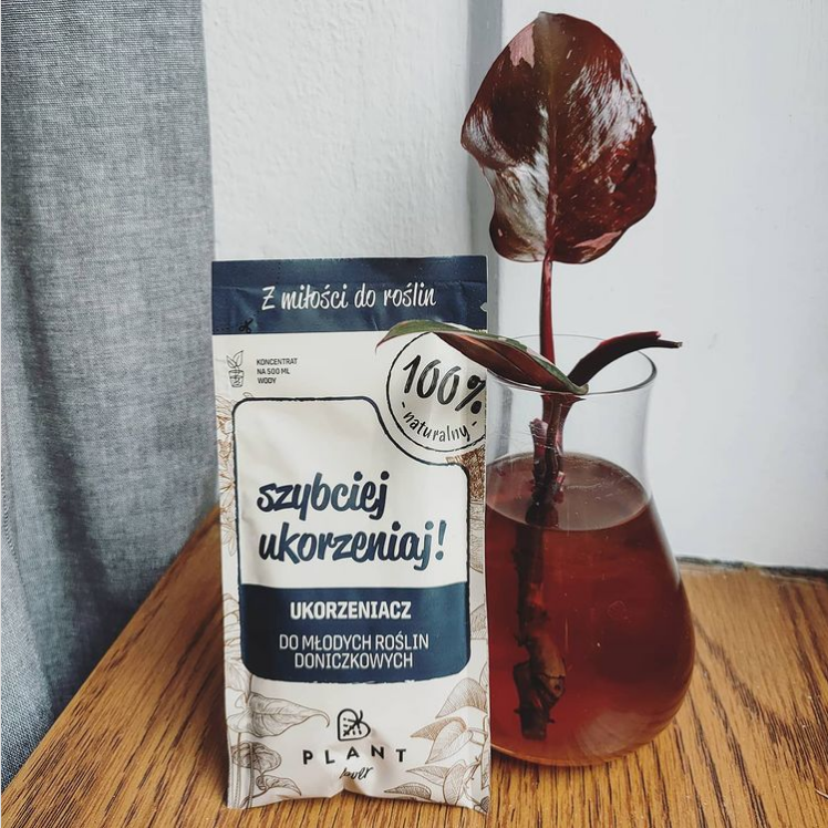 SZYBCIEJ UKORZENIAJ! Zestaw 3 szt. Ukorzeniacz młodych roślin, PLANT Lover