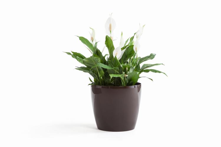 Doniczka okrągła MAGNOLIA