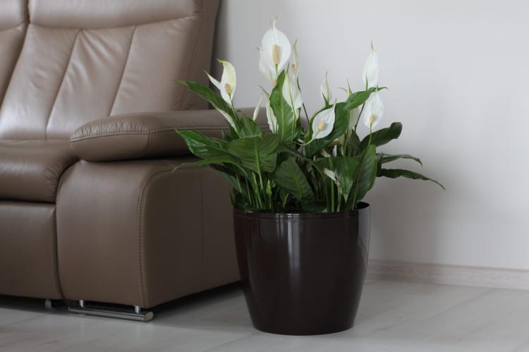 Doniczka okrągła MAGNOLIA 135 MOKKA