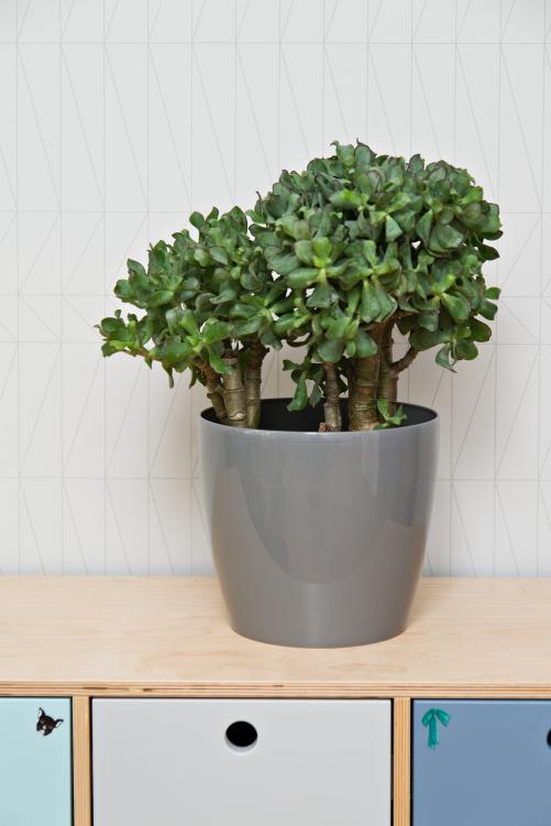 Doniczka okrągła MAGNOLIA