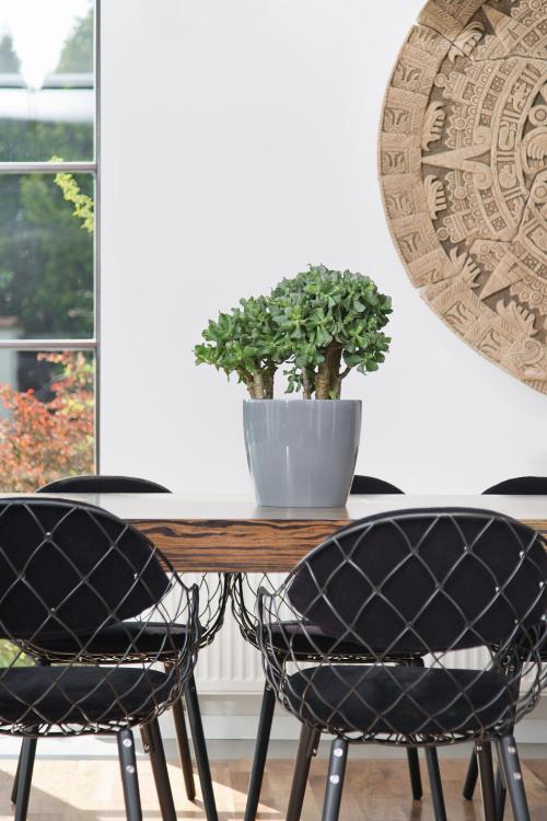 MAGNOLIA  szary nr 27_3.jpg