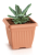 dkwt.png