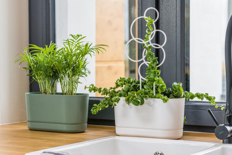 Doniczka podłużna Satina 27 z podstawką