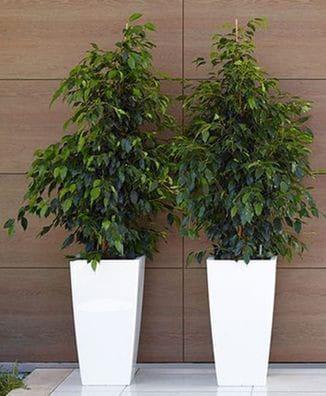 Doniczka wysoka 50 cm, kwadratowa URBI DURS265 z wkładem