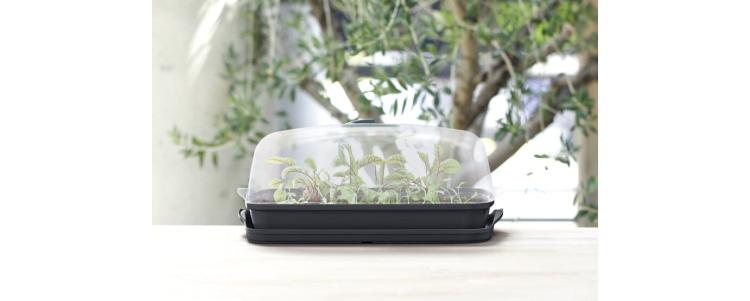 Respana Table Greenhouse 400.jpg