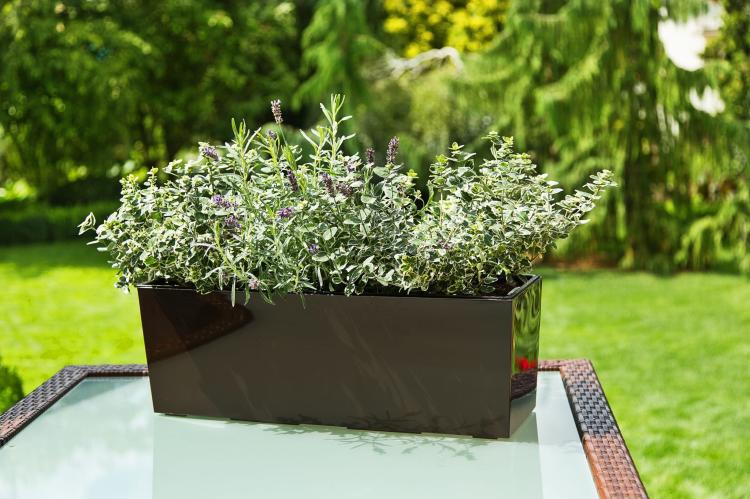 Doniczka balkonowa z uchwytami BEGONIA 560, Lamela mokka