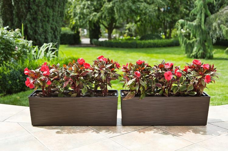 Doniczka balkonowa z uchwytami Begonia 560 dłuto mokka