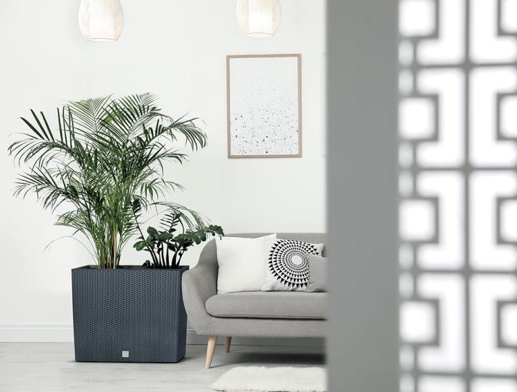 Doniczka podłużna, wysoka RATO Case DRC600T