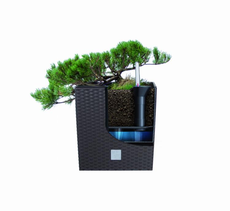 Doniczka z nawadnianiem, kwadratowa, rattanowa RATO Low DRTS265LS