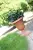 Atena_GPW_aranz_01.webp