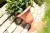 Atena_GPW_aranz_02.webp