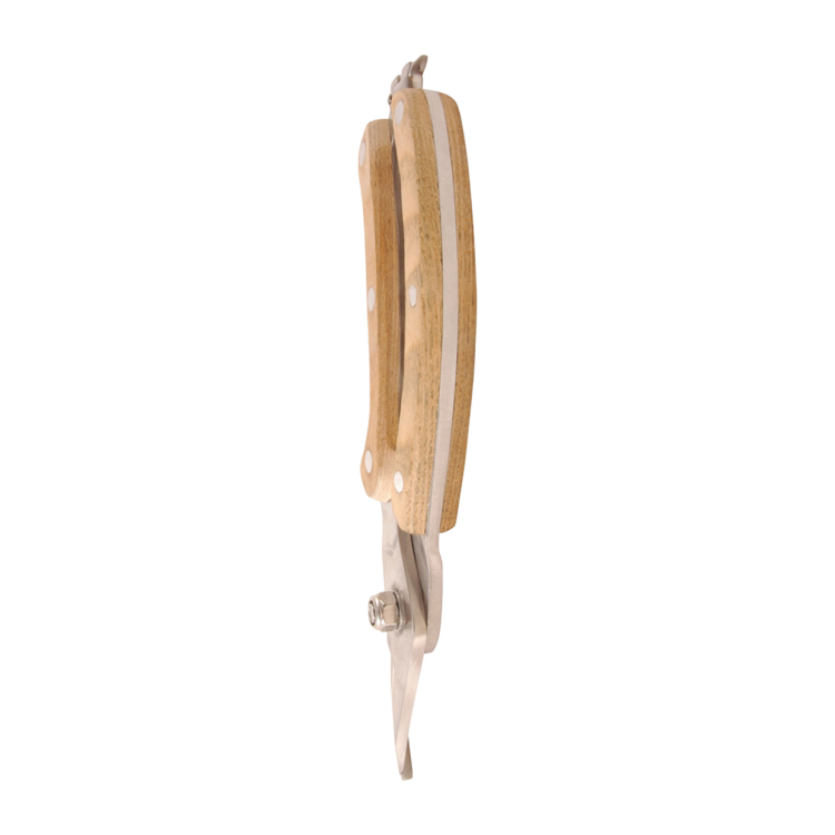 GT13_06.png