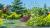 2123-podpora-ornament-max2.jpg