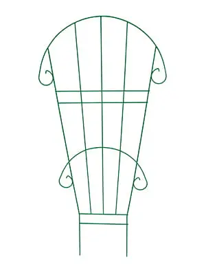 2024-parawan-obly-char.jpg