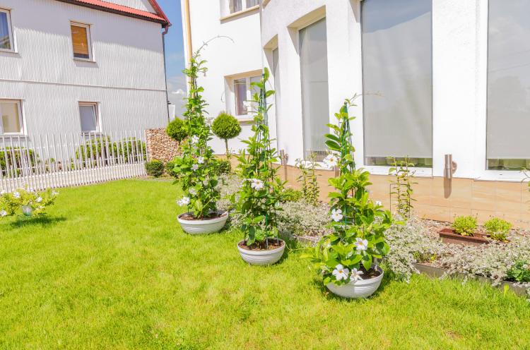 Stożek ogrodowy (5).jpg