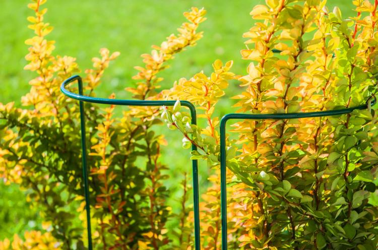 Podpora kwiatowa (3).JPG