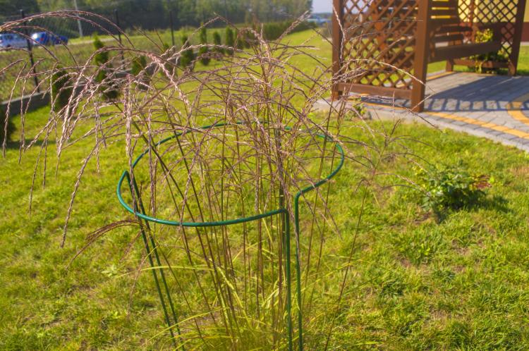 Podpora ogrodowa Kwiatowa M, ELGarden