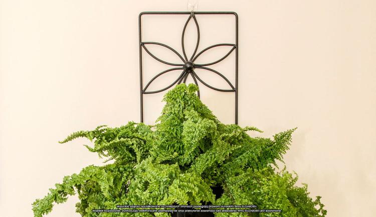 Kwietnik na ścianę Stokrotka, ELGarden