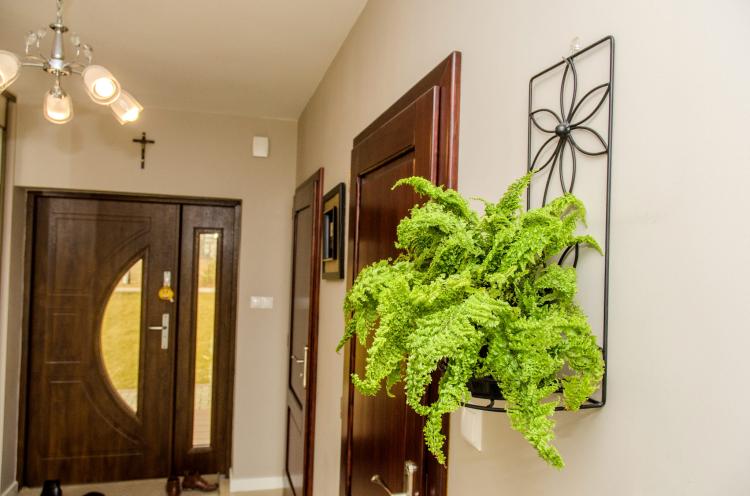 Kwietnik na ścianę Stokrotka, ELGarden