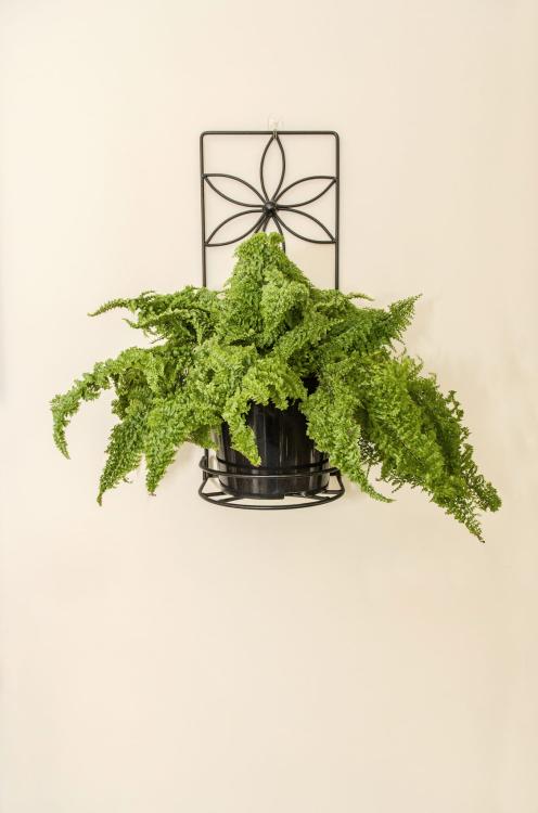 Kwietnik na ścianę Stokrotka, ELGarden