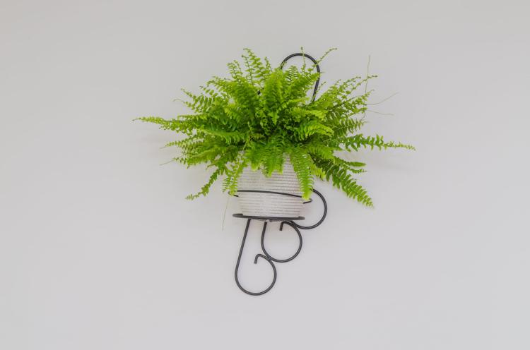 kwietnik-na-sciane-ornament-II-2047 (1).jpg