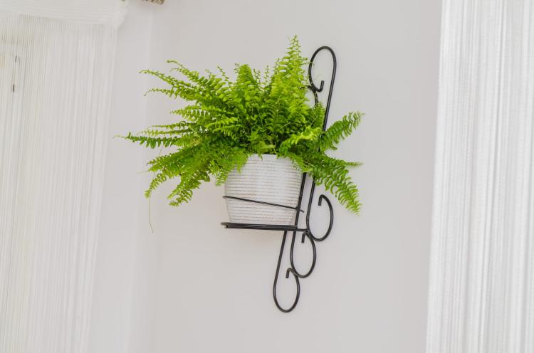 kwietnik-na-sciane-ornament-II-2047 (3).jpg