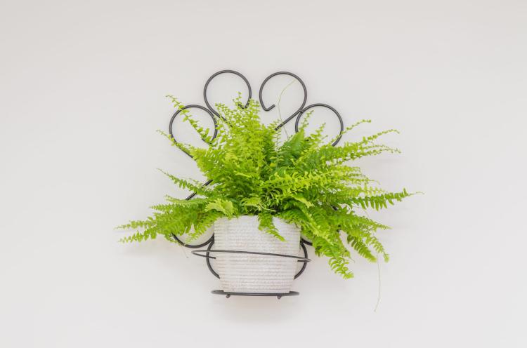 kwietnik-na-sciane-ornament-I-2046 (3).jpg