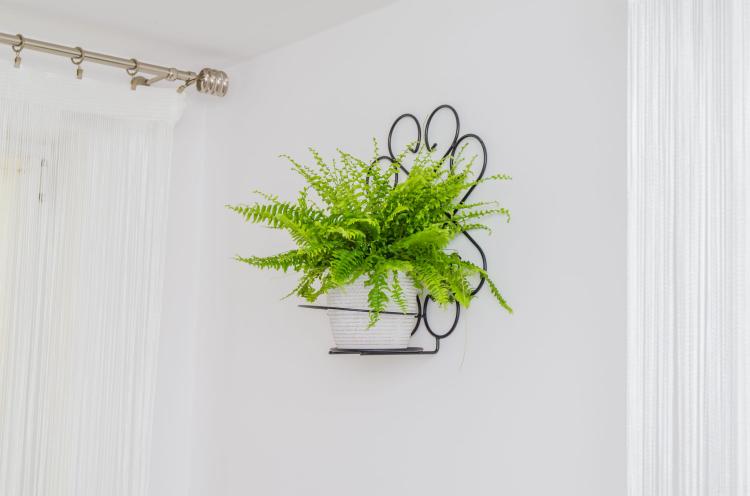 kwietnik-na-sciane-ornament-I-2046 (4).jpg