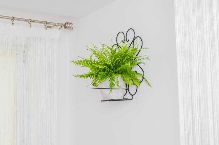 kwietnik-na-sciane-ornament-I-2046 (5).jpg