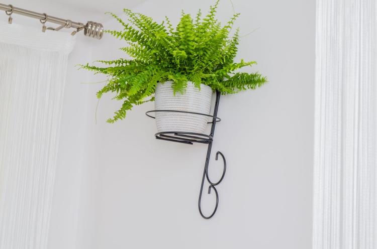 kwietnik-wiszacy-na-sciane-Ornament-III-2048 (1).jpg