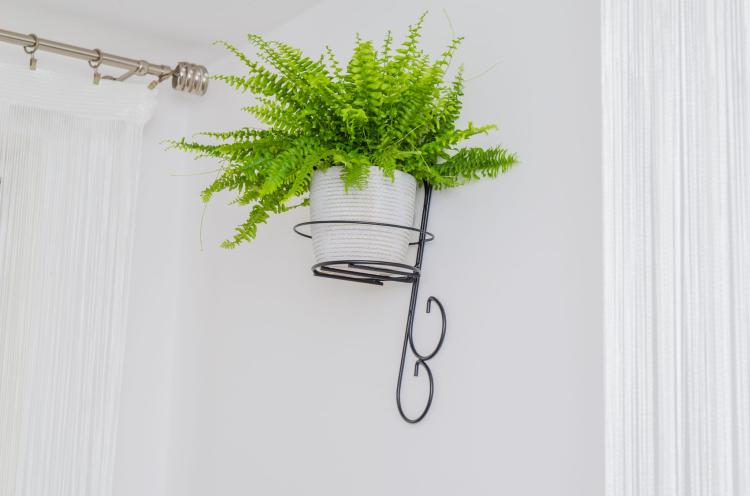 kwietnik-wiszacy-na-sciane-Ornament-III-2048 (2).jpg