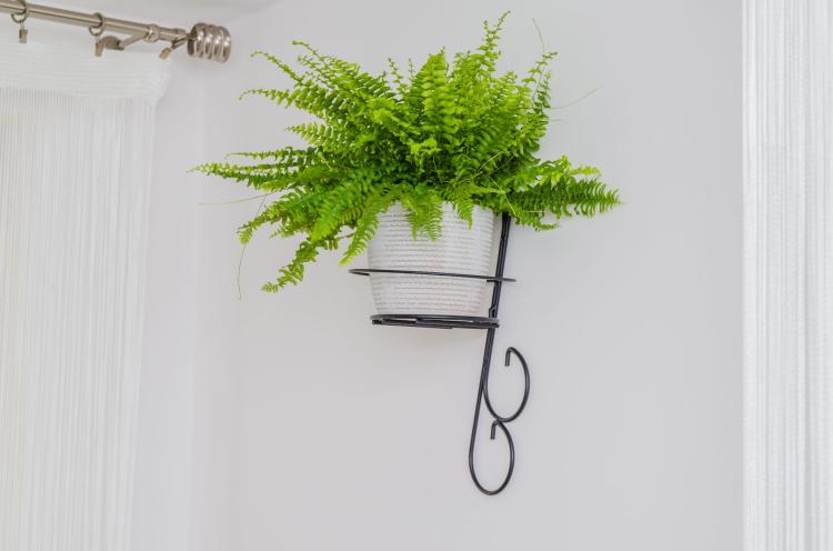 kwietnik-wiszacy-na-sciane-Ornament-III-2048 (5).jpg