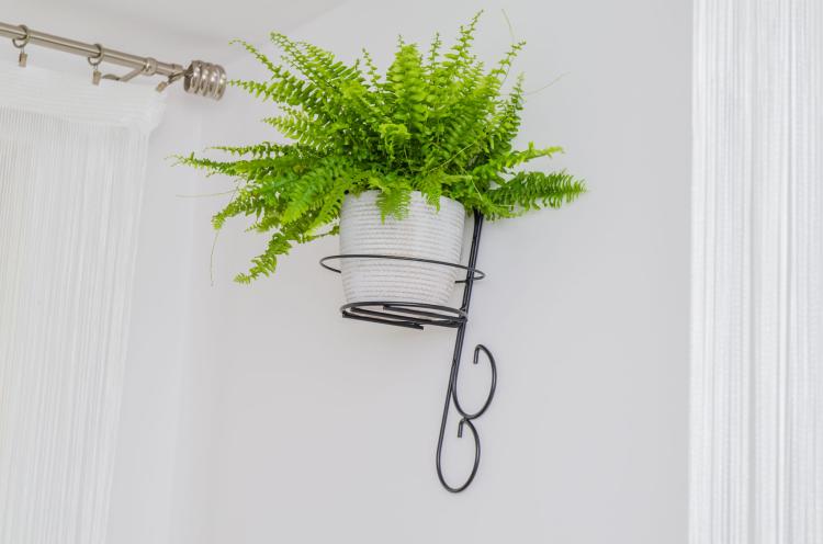 kwietnik-wiszacy-na-sciane-Ornament-III-2048 (6).jpg