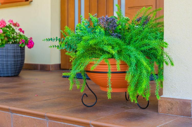 stojak-na-donice-niski-metalowy-2053 (1).jpg