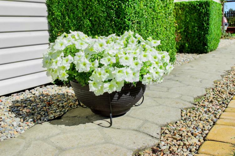 stojak-na-donice-niski-metalowy-2053 (3).jpg