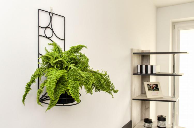 Kwietnik na ścianę Tęcza, ELGarden