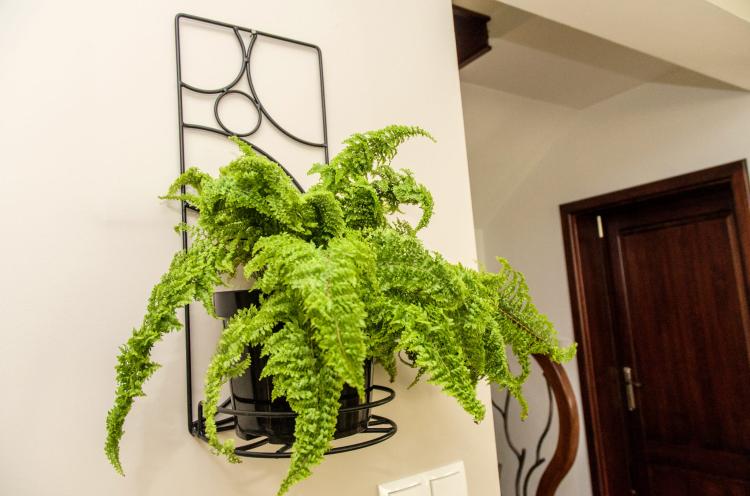 Kwietnik na ścianę Tęcza, ELGarden