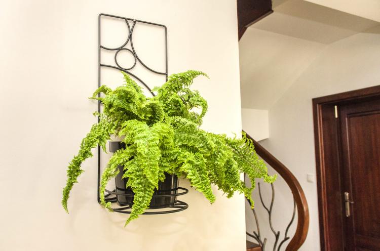 Kwietnik na ścianę Tęcza, ELGarden