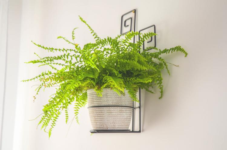 Kwietnik na ścianę Meander, ELGarden