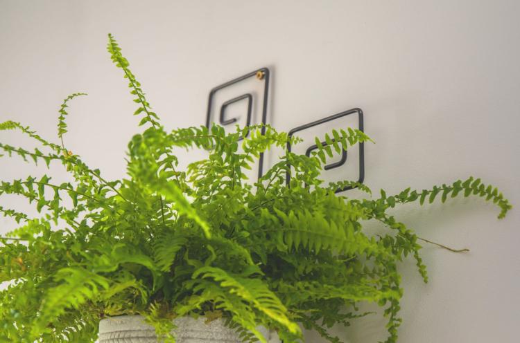 Kwietnik na ścianę Meander, ELGarden